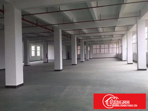 高埗1300平方优质楼房1楼层出租周边有娱乐场所，人流