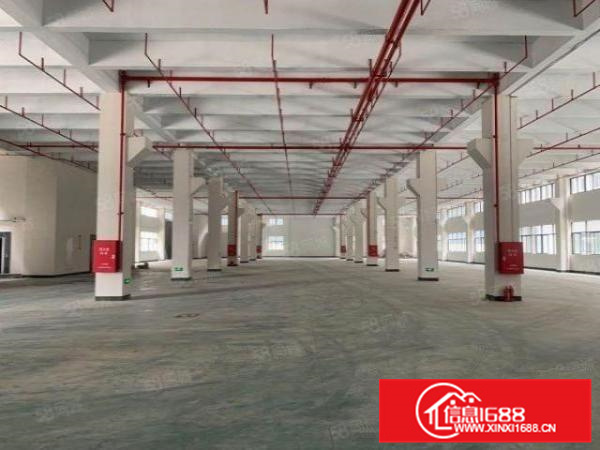 高速口形象好！均安世友标准3600方有喷淋有空地间隙大