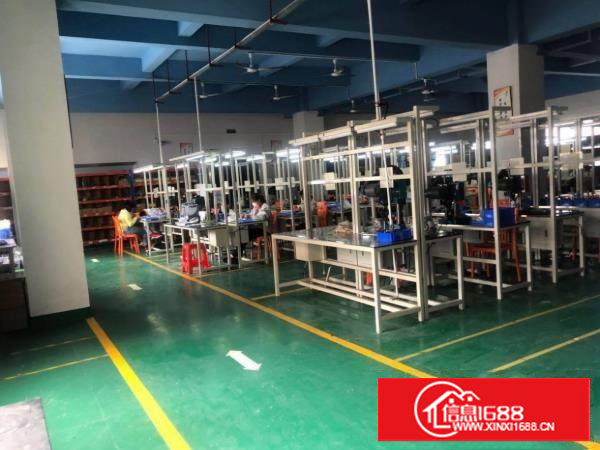 塘厦桥陇标准独院3300平，现成装修水电，拎包入驻原房东