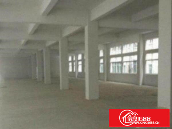 高埗万江标准一楼厂房出租5001500平方出租适合机械、五