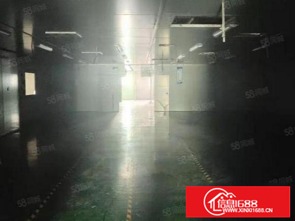 长安乌沙新安大桥附近新出楼上无尘车间厂房