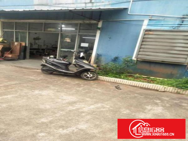 南油服装市场旁1500平办公室仓库出租50元/平