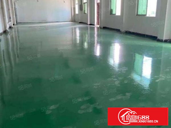 塘厦石鼓标准一楼750平！地坪漆精装修，天花吊顶！