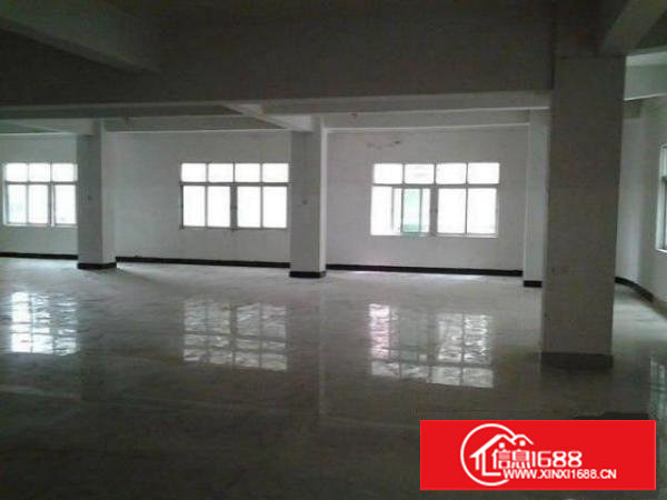 塘厦全新漂亮小独院750,带简装修,适多种行业入驻