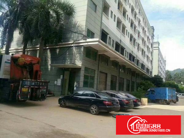 西乡107国道边上有红本厂房A栋1到5层10500