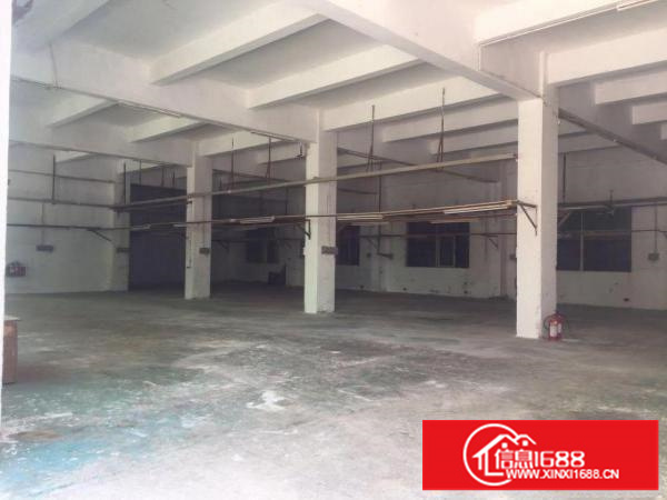 坪山新区碧岭街道新出2楼450平