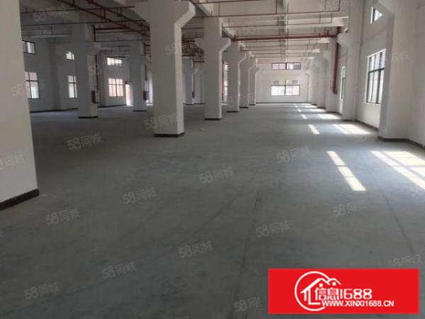 10元急租大朗洋乌独院一二楼2000平方厂房带现成牛角位