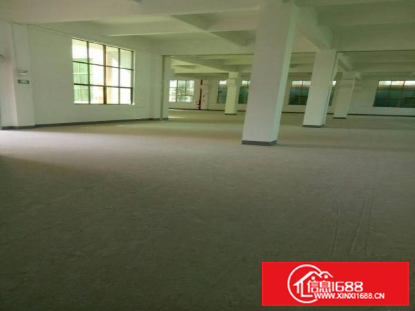 新出原房东独栋8000平火爆招租