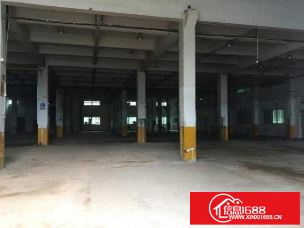 龙华大浪原房东标准厂房实际面积出租