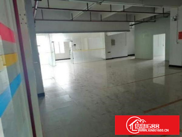 寮步镇原房东两部客梯一部货梯的厂房出租