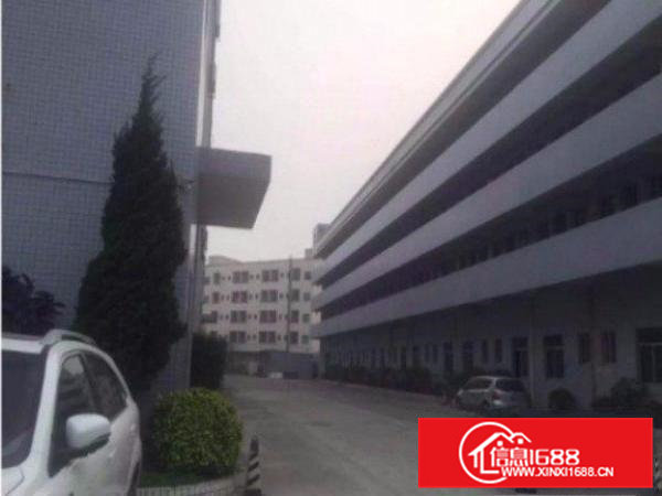 清溪樟木头独院标准厂房一楼1200平方出租精装修拎包入驻