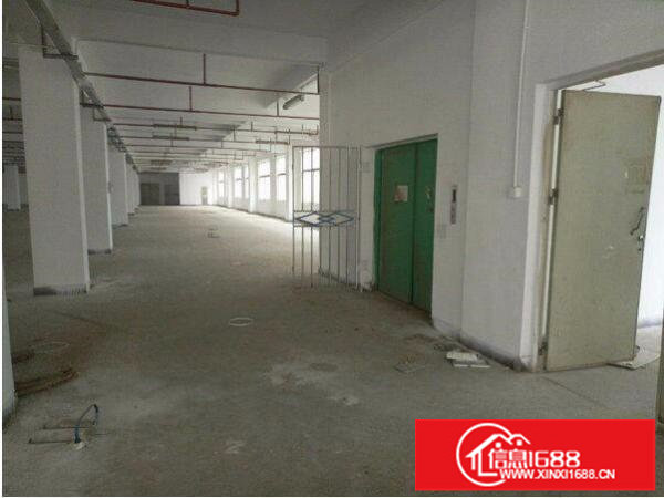 出租龙岗区坂田工业园一楼厂房精装修1350