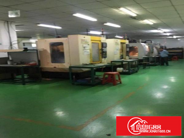 仲恺高新区新出标准一楼1000平方，租金13