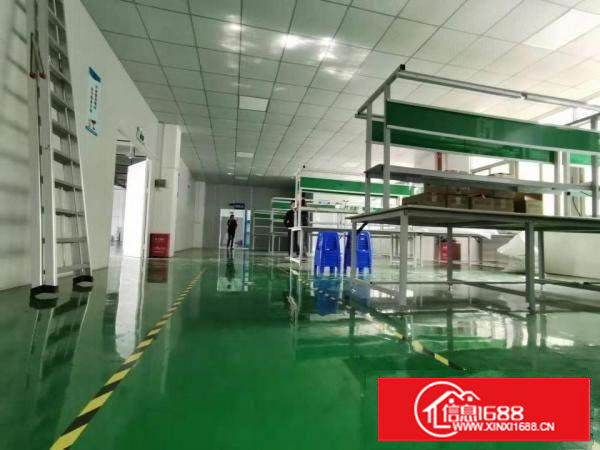 火火，业主好说话，塘厦科苑城6000平方米装修好独院厂房出租