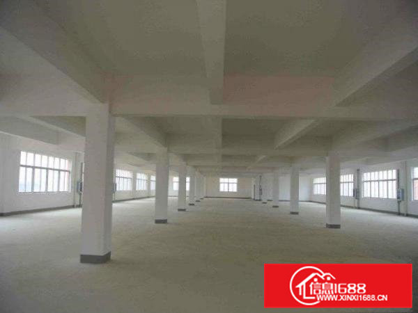 常平木棆厂房出租2500平超合适做口罩，医疗用品，空地大