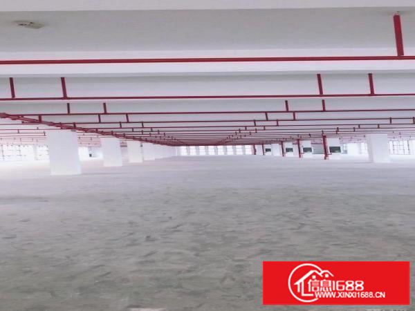 出租龙岗区坪地低碳城旁边红本标准厂房大小分组停车方便