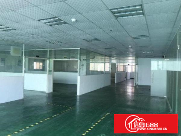 空地超大可做幼儿园独门独院总面积5000平方厂房出租