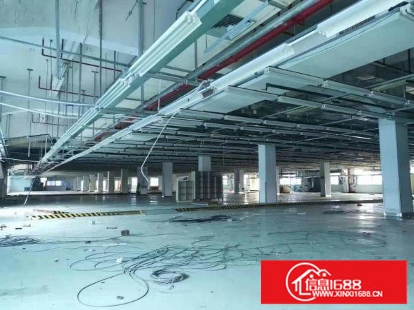 原房东无公摊！清湖头2000平方独院3楼厂房招租