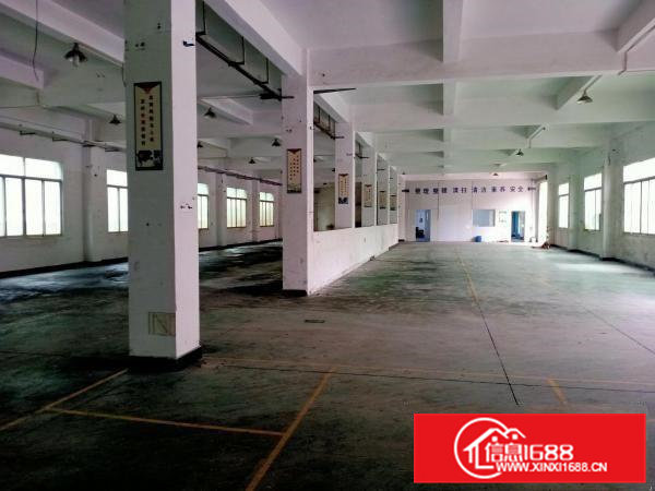 出租清溪镇三中新出原房东独院3500平方实际面积