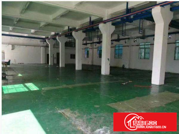 平湖良安原房东700平米标准一楼出租可接受任何行业