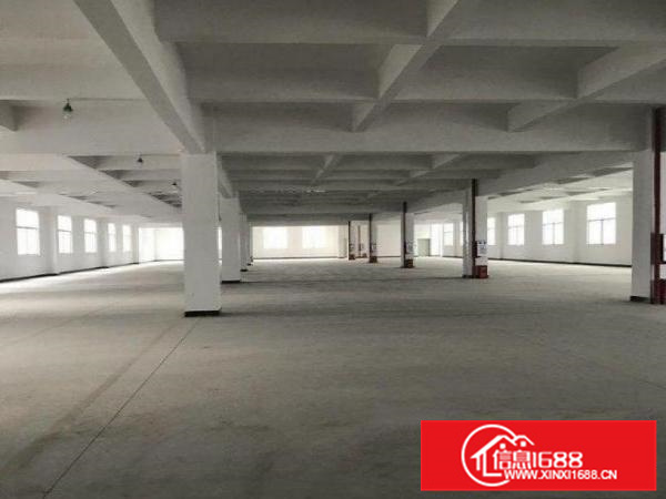 惠阳新墟园区标准一楼1050平米可以分租