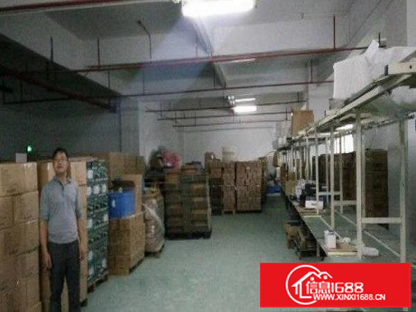 原房东，出租布吉华兴工业区楼上750平厂房