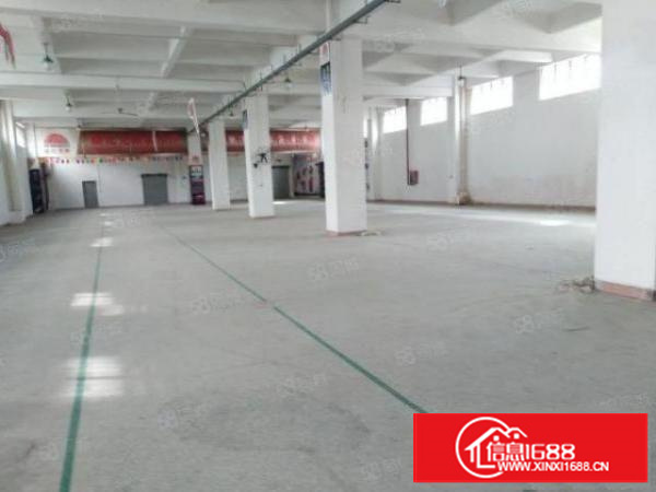 茶山镇京山工业区高大上独院厂房厂房三层，面积9000平