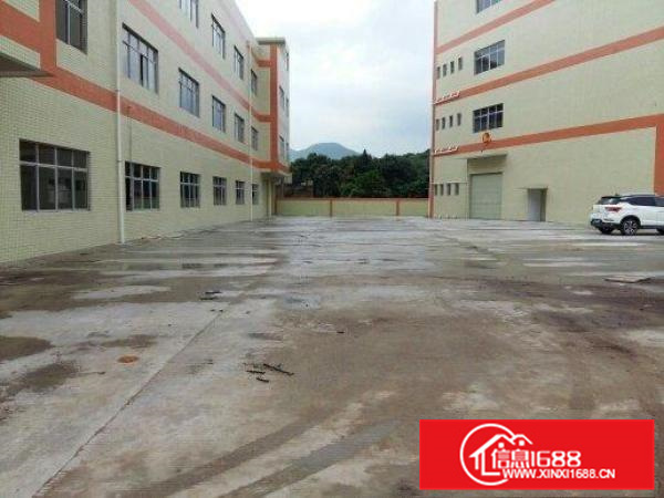 新圩10000m独院厂房出租