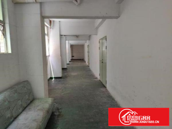 沙井新出楼上330平厂房适合小加工等价格实惠