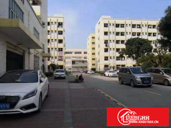 龙岗龙城街道新出1楼精装修300平厂房分租空地大