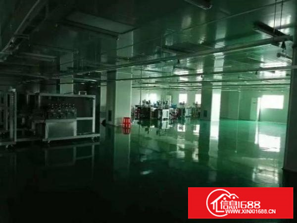 观澜新田主干道旁，交通方便，招工方便，园区形象好