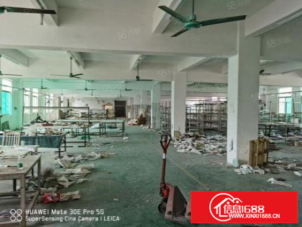 雁田海关附近独院厂房低价出租