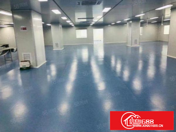 松岗107国道边工业园二楼1700平方全新无尘车间厂房出租