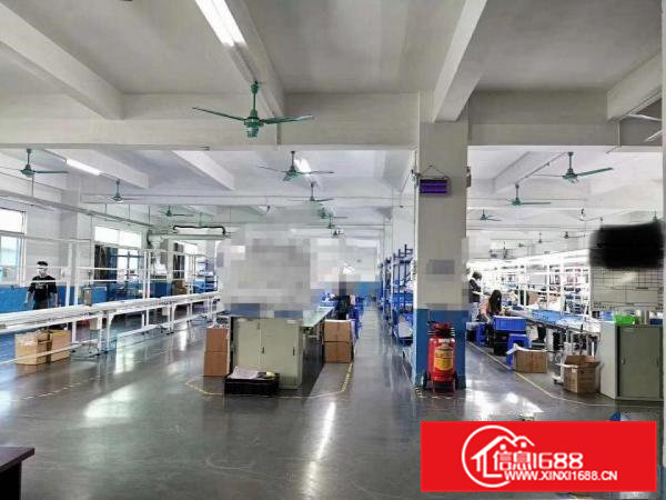 （急租）清溪现空出楼上2400平方地坪漆车间，精装修办公室。