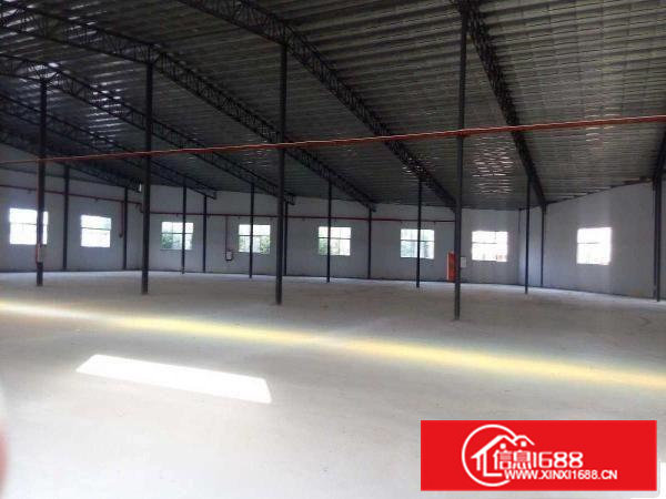 司马招租全新钢构1800平方可做塑胶抽粒仓库