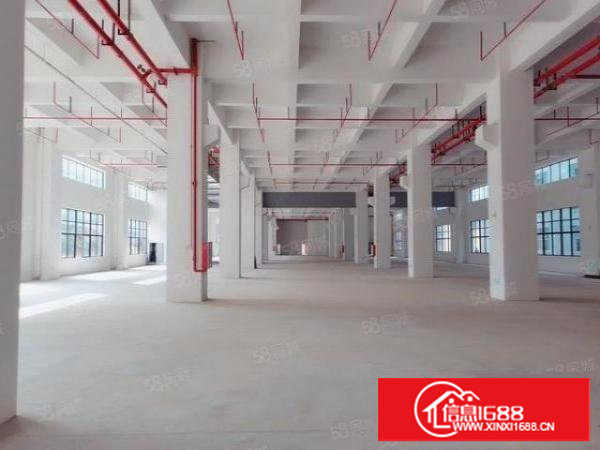 （出租）空地超大的全新建的红本厂房国有工业用地丙二类消防