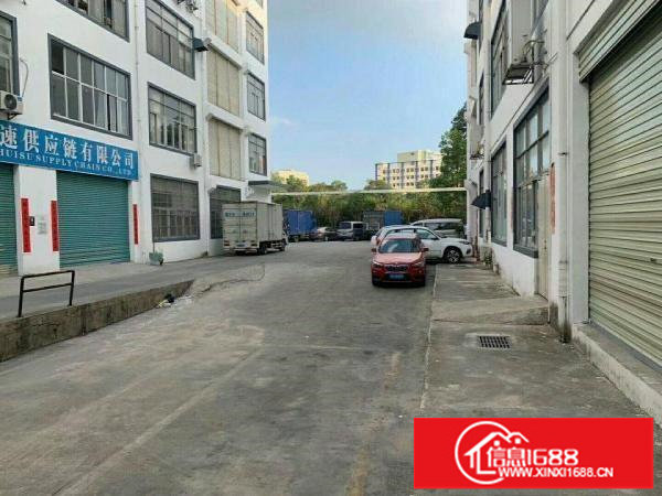 出租！坂田下雪300-1000平带装修物流仓库园