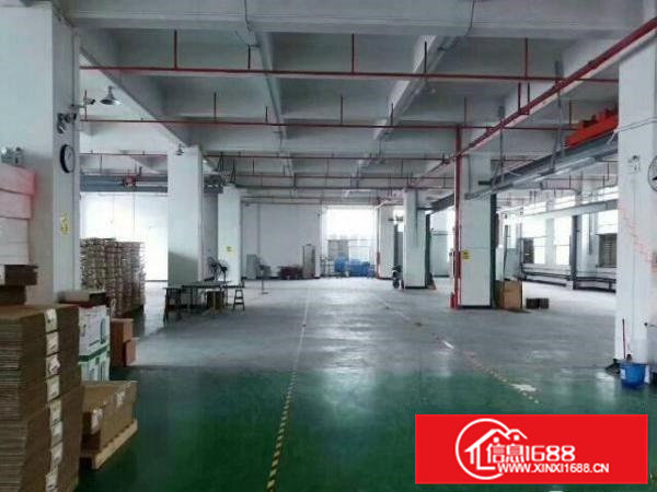 大岭山镇空出独院标准三层4000平方原房东厂房直租可分租