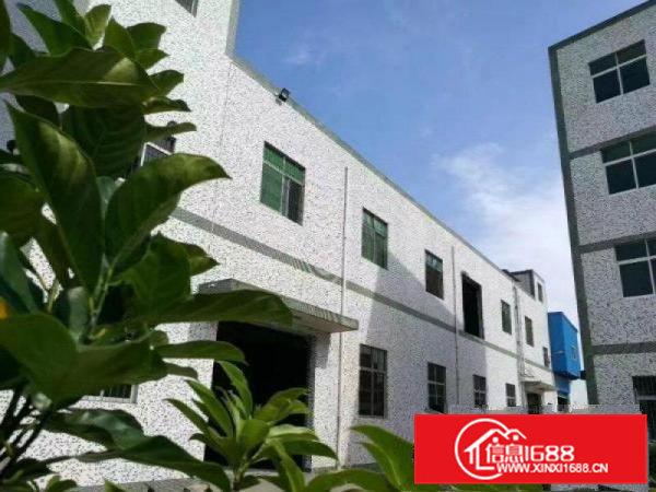 带行车带水电）凤岗两层3000平方米独院厂房出租