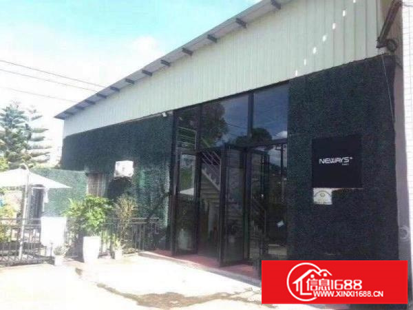 龙岗单一层钢构1200平高7米摄影办公精装修