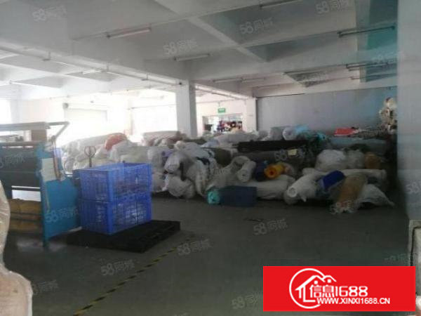 龙华大浪新出原房东200到3600平厂房出租报价25元可分租