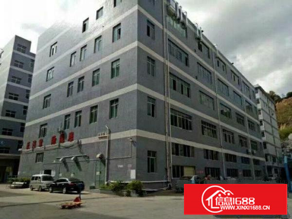 塘厦平山空出二楼1360平带有地平漆精装修办公室