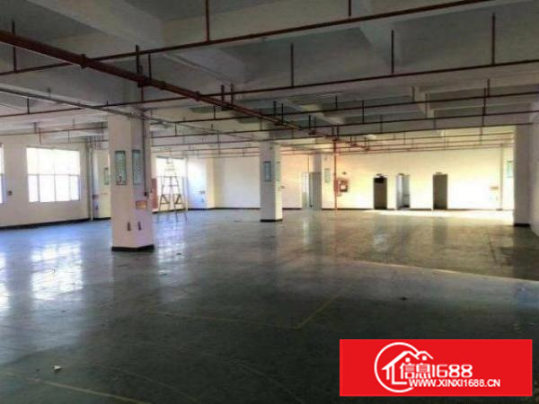 超朗楼上标准厂房600平招租，有地坪漆消防喷淋，入驻及生产