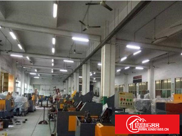 常平漱旧附近一楼1000平米厂房招租带装修交通便利