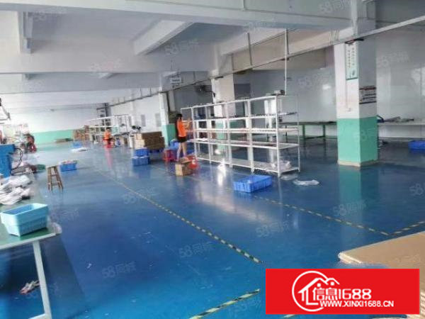 坪地六联鹅公岭2号1260平每层有地坪漆办公室