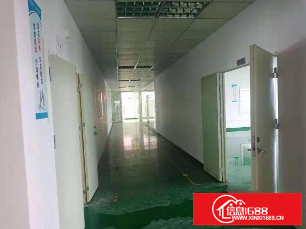 清溪谢坑村原房东新出3楼1000平出租现成办公室水电