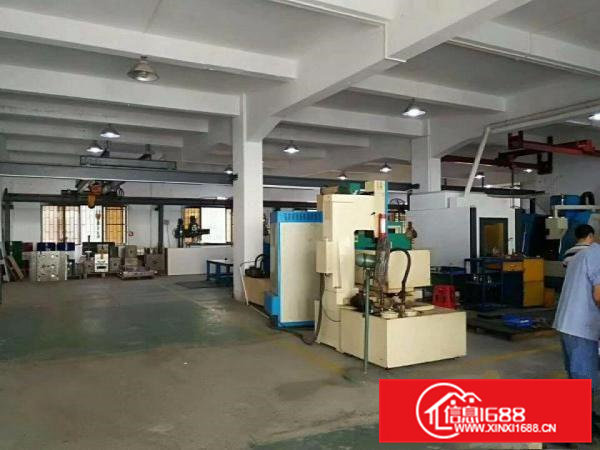 清溪浮岗标准一楼厂房500平方超大空地高度6米