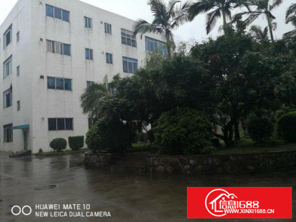 广东东部摄影基地10万平厂房出租500平起分临时租