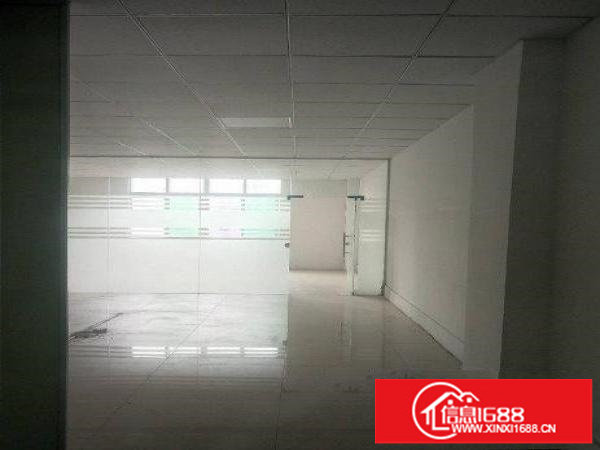 龙岗龙东电商产业园100平米到2000平米招租