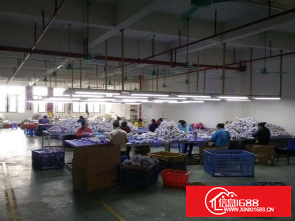 全新工业标准厂房A区二楼带消防喷淋现成办公室及配套装修！